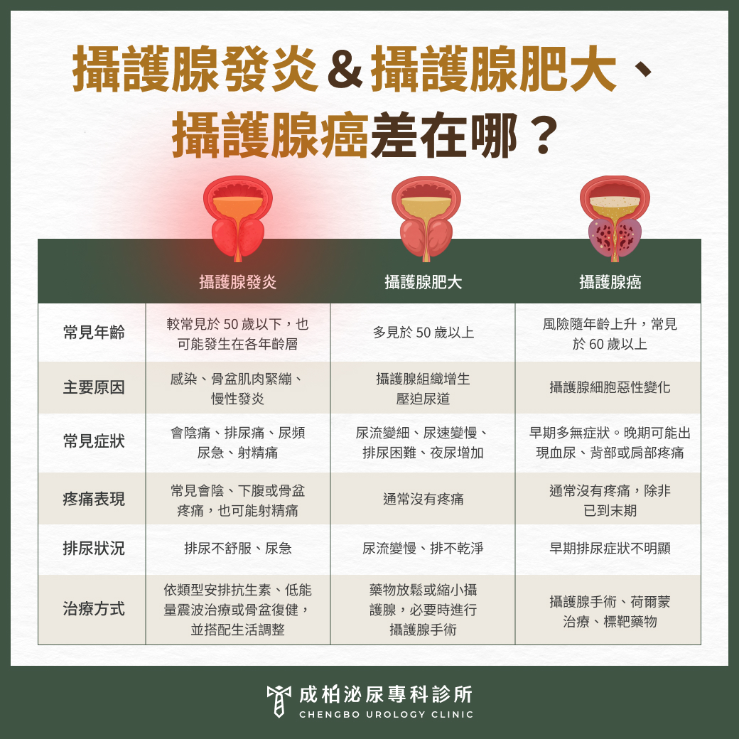 攝護腺發炎與攝護腺肥大、攝護腺癌差在哪？