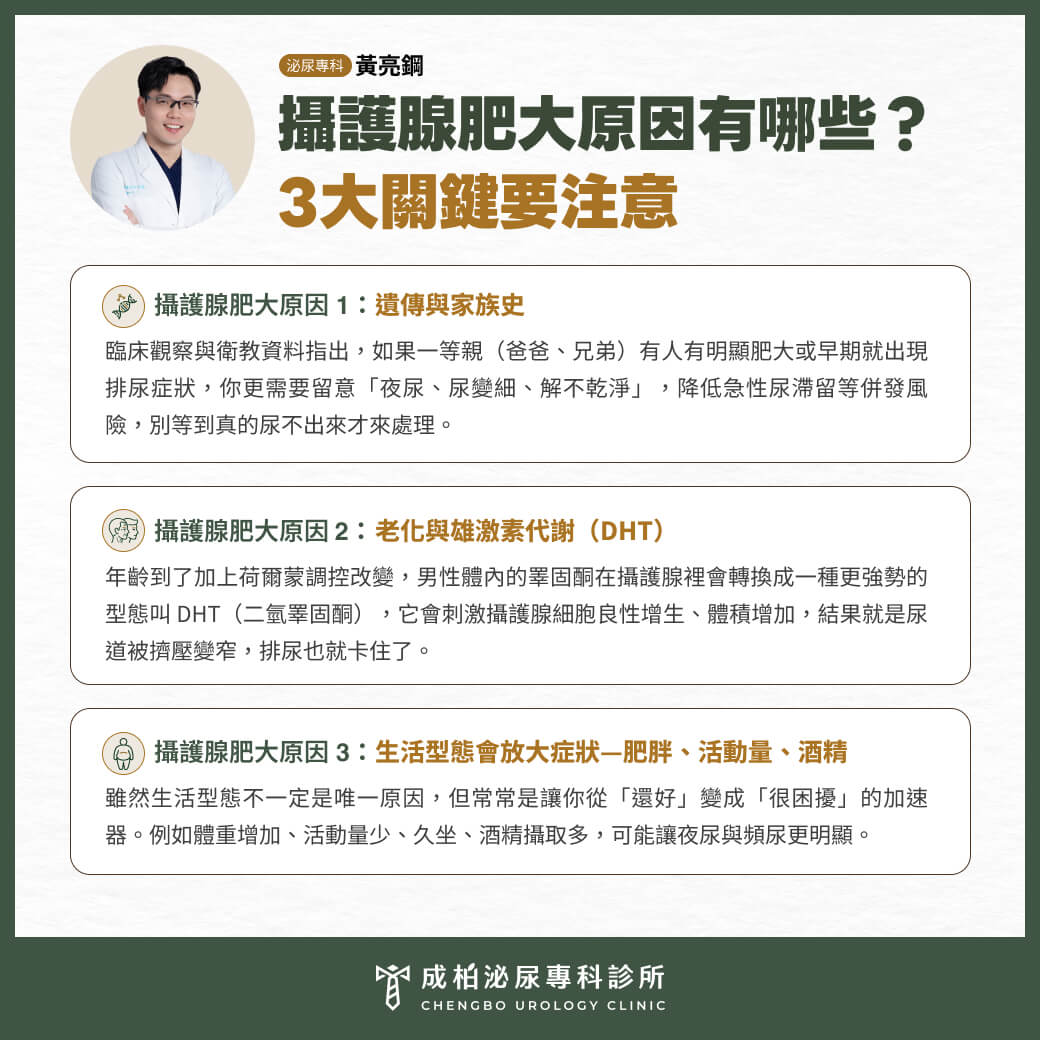 攝護腺肥大原因有哪些?從夜尿到尿不出來:前兆與症狀一次看 1 攝護腺肥大原因整理圖