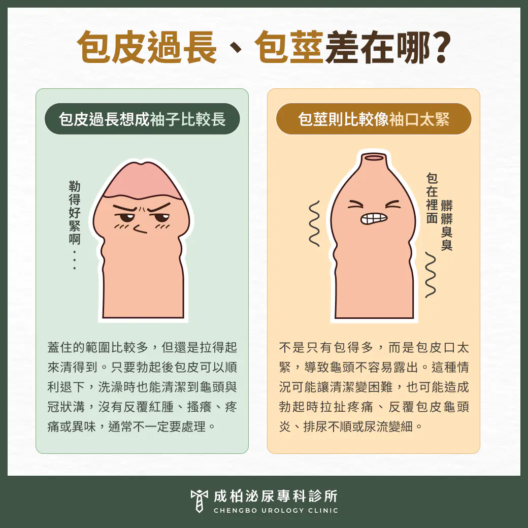 包皮過長與包莖差異圖解