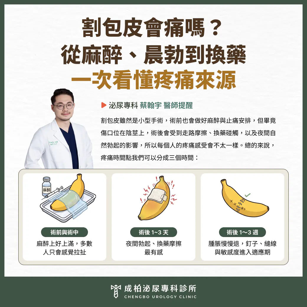 割包皮會痛嗎？麻醉、晨勃、換藥 3 個時間點看懂疼痛來源